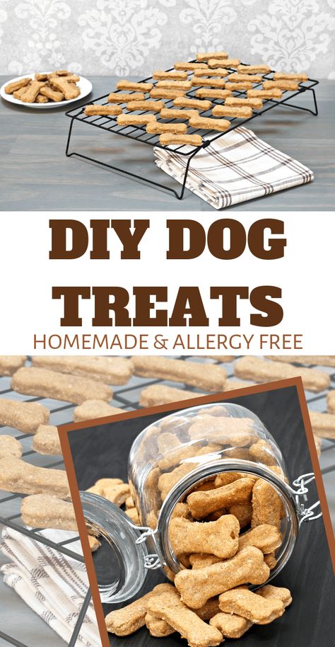 allergy free snacks for doggies Allergy Free Snacks, Homemade Peanut Butter Cookies, Easy Dog Treat Recipes, Buttered Vegetables, Easy Dog Treats, Diy Dog Treats, Gluten Free Sweet, Treat Recipes, Human Food