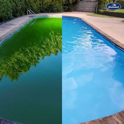 How remarkable is this pool transformation from BioGuard Poolside Christchurch, New Zeland? With the use of BioGuard pool chemicals and… | Instagram Pool Chemicals, Pool Builders, Pool Maintenance, January 29, Pool Cleaning, Jump In, Christchurch, Chemicals, Pool