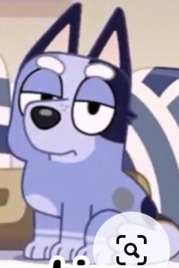 Socks Bluey Character, Socks From Bluey Cartoon, Socks Bluey Pfp, Socks From Bluey, Bluey Drawings, Bluey Socks, Bluey Funny, Warrior Cats Scourge, Felix Argyle