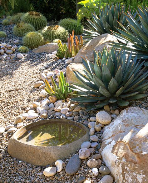 stone-water-vessel-rock-landscaping-AESGOLYpap5BtsQz8W6imB Pebble Garden, Gravel Landscaping, Drought Tolerant Garden, Drought Tolerant Landscape, Rock Garden Design, Rock Landscaping, Dry Garden, Gravel Garden, Rock Garden Landscaping