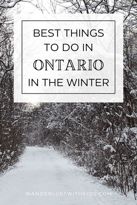 Check out these 20 fun things to do in Ontario in the winter! With must-visit destinations, from the magical Winter Festival of Lights at Niagara Falls to the unique Icewine Festival in Niagara-on-the-Lake, or traditional Canadian winter activities like skiing and snowboarding and hiking. Whether you're seeking outdoor adventures or cultural experiences, there are plenty of exciting things to do in Ontario in the winter for everyone. Winter Travel Packing, Ontario Provincial Parks, Winter Light Festival, Outdoor Rink, Outdoor Skating, Snow Activities, Niagara On The Lake, Beautiful Canada, Canadian Winter