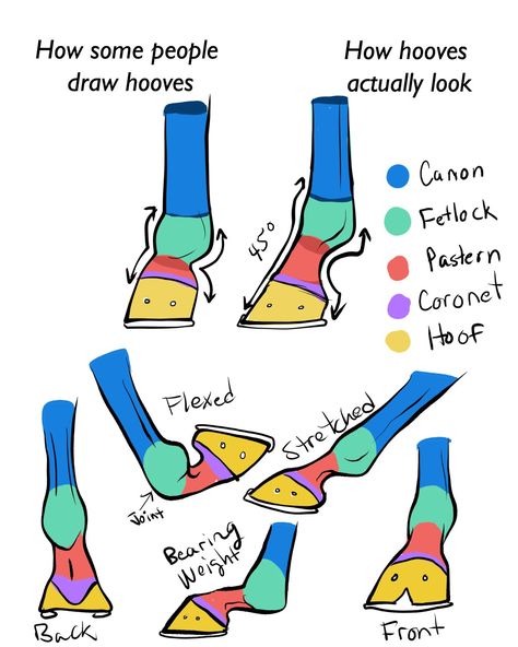 Horse Drawing Tips, How To Draw Horse, How To Draw A Horse, How To Draw Horses, Draw Horse, Horse Drawing Tutorial, Drawing Horse, Horse Reference, Horse Art Drawing