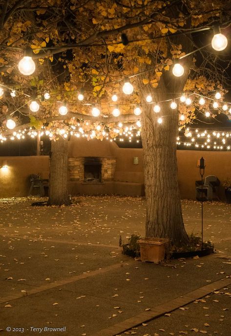 String Lights Outdoor Wedding, Outdoor Wedding Lighting, Backyard Trees, Diy Outdoor Lighting, Patio String Lights, Thanksgiving Decorations Diy, String Lights Wedding, Backyard Lighting, Outdoor Light Fixtures