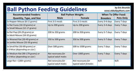 Ball python feeding chart — how much to feed a ball python, based on weight Ball Python Feeding Chart, Python Hacks, Snake Breeding, Boop Noodle, Ball Python Pet, Snake Breeds, Ball Python Care, Snake Care, Raising Livestock