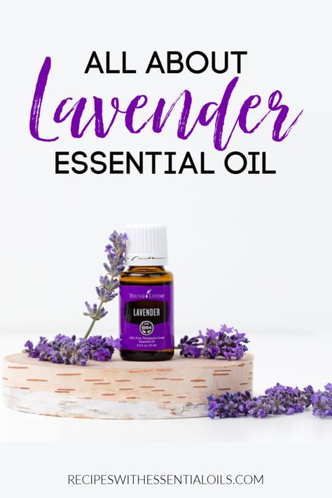 Essential Oil For Bruising, Essential Oil Cleaning Spray, Lavender Essential Oil Young Living, Essential Oils Uses Chart, Lavender Essential Oil Uses, Young Living Lavender, Lavender Uses, Mosquito Spray, Lavender Benefits