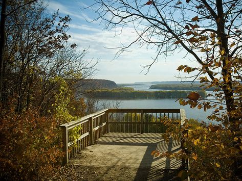 Mississippi Palisades State Park Campground - Gorgeous. Illinois State Parks, Carroll County, Camping Resort, Illinois State, James Beard, A Gentleman, Fall Day, Mississippi River, Present Day