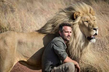 Volunteer in South Africa with Lions - Kevin Richardson Wildlife Sanctuary Lion Whisperer, Kevin Richardson, Cat Sanctuary, Funny Frogs, Young Animal, Lion Face, Lion Cub, Wild Creatures, Funny Birds