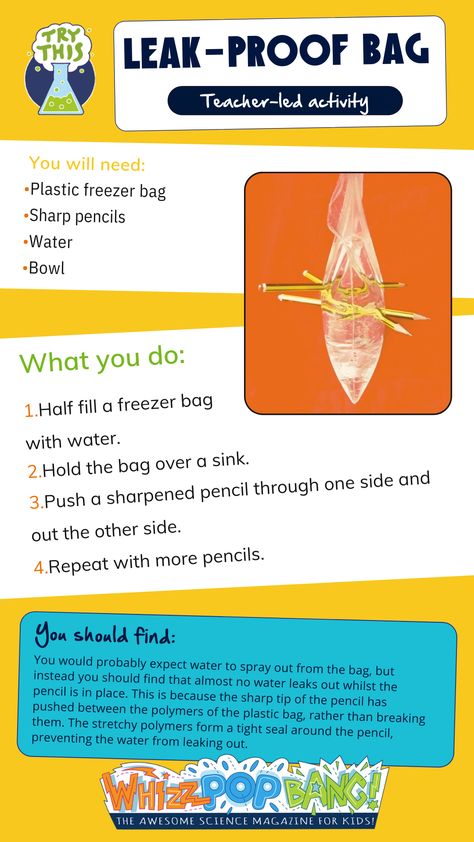 Wow your friends with this fun leak-proof bag experiment! All you need: • Plastic freezer bag • Sharp pencils • Water • Bowl Find out the science behind this experiment by clicking the pin! //kidsscience// //scienceexperiment// //STEMathome// //homeschool// //teachthroughdoing// Leak Proof Bag Experiment, Stem Night, Experiment For Kids, Cool Experiments, Stem Ideas, Sharp Pencils, Fall Preschool Activities, Science Club, Reading Comprehension Questions