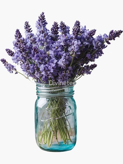 Mason jar, flower girl, lavenders, spring flowers, summer vibe, lavender bunch, botanical, nature Lavender In Mason Jars, Lavender Bunch, Flowers Summer, Mason Jar, Spring Flowers, Summer Vibes, Mason Jars, Flower Girl, Lavender