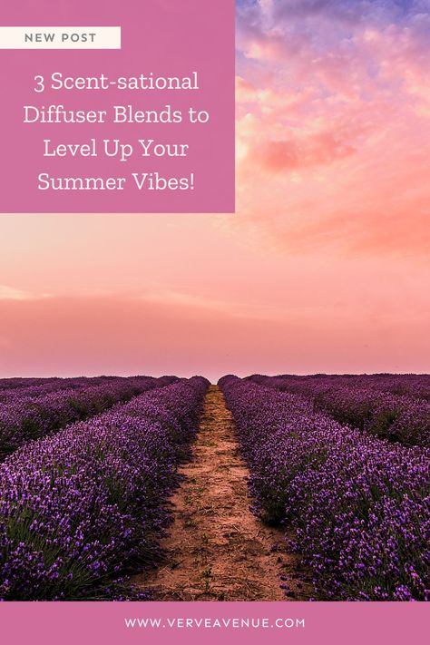 Absolutely Scent-sational scents for summer! Try our 3 favorites at https://www.verveavenue.com/summer-diffuser-blends-beat-the-heat-with-3-refreshing-aroma-recipes
#HealthyHome #SummerAromas #EssentialOilDiffuser #NaturalRemedies Essential Oil Cleaning Spray, Summer Diffuser Blends, Tea Tree Oil Uses, How To Make Popcorn, Essential Oils Cleaning, Diffuser Blend, Summer Scent, Plant Therapy, Boost Your Mood