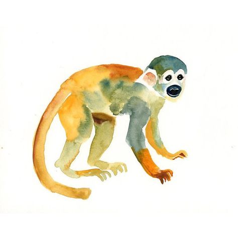 SQUIRREL MONKEY Original watercolor painting 10X8inch ($30) ❤ liked on Polyvore featuring animals, art, watercolor and monkey Gorilla Painting, Monkey Watercolor, Monkey Svg, Paint Monkey, Monkey Drawing, Monkey Illustration, Squirrel Monkey, Monkey Art, Watercolor Projects