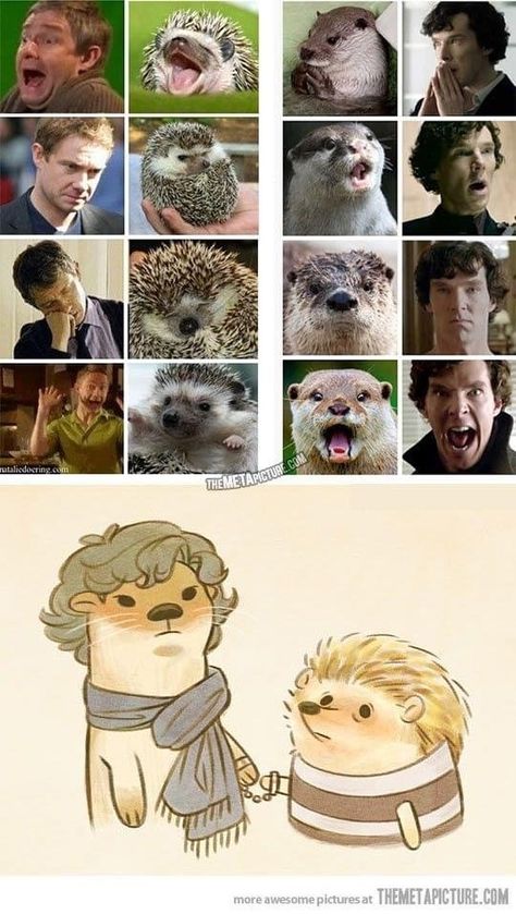 Sherlock Otter, Johnlock Fanart, John Lock, Sherlock Cast, Sherlock Holmes 3, Sherlock Series, Sherlock Holmes Bbc, Sherlock 3, Music Nerd