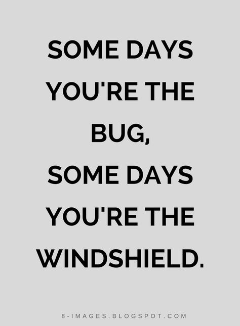 Quotes Some days you're the bug, Some days you're the windshield. Bug Quotes, Weekday Humor, Disrespect Quotes, People Quotes Truths, Normal Quotes, Stink Bug, Sick Humor, Virgo Sign, The Bug