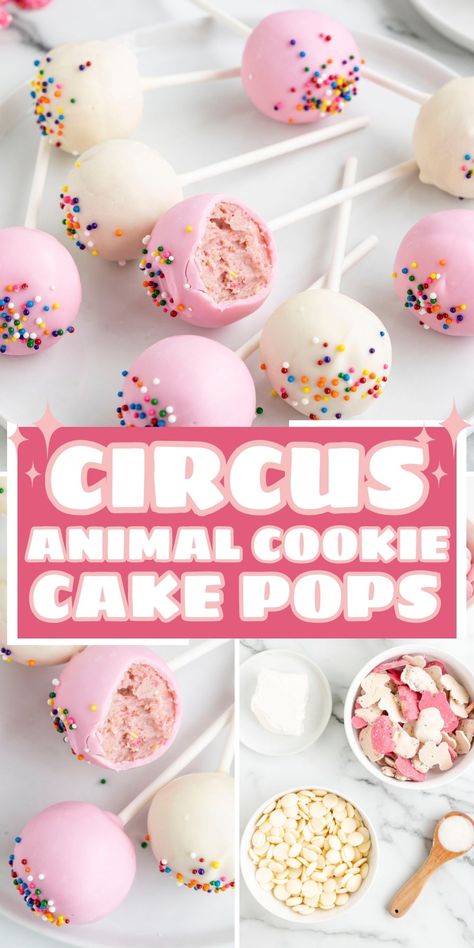 Circus Animal Cake Pops, Circus Theme Cupcakes Birthday Ideas, Animal Cracker Cake Pops, Circus Theme Party Food Snacks, Party Animal Cake Pops, Cake Pop Flavors Recipes, Pink Cake Balls, Circus Theme Treats, Unique Cake Pop Flavors