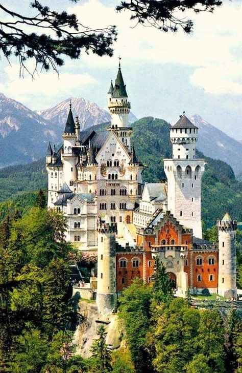 Chateau House, Peles Castle, Castle Germany, Luxury Lifestyle Travel, Castles Around The World, Venomous Snakes, Castle Mansion, Castle Aesthetic, Germany Castles