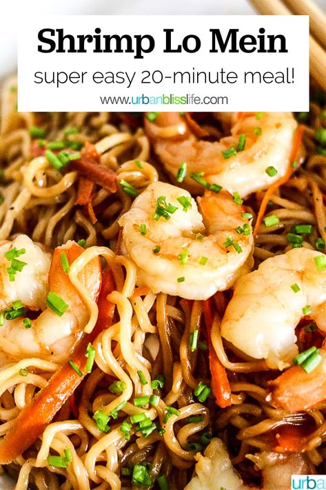 This Shrimp Lo Mein is better than takeout, and you can make it in about 20 minutes! Get the full recipe on UrbanBlissLife.com Shrimp Lo Mein Recipe Easy, Lo Mein Noodles Recipe, Shrimp Noodles Recipes, Shrimp Lo Mein Recipe, Shrimp Lo Mein, Yummy Noodles, Lo Mein Noodles, Lo Mein Recipes, Better Than Takeout