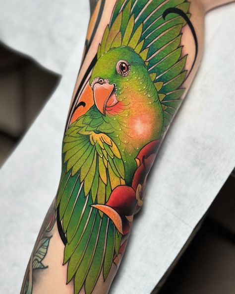 Hello everyone! 🌿 I finished an amazing tattoo inspired by the rich avian fauna of Panama, especially highlighting the vibrant green parakeets that adorn its skies. This design not only captures the essence of these beautiful birds, but also uses a bright and detailed color palette that reflects their natural environment. The composition of the tattoo is meant to highlight the elegance and dynamism of these birds, integrating green and yellow tones that capture the essence of Panamanian 🇵🇦 fa... Green Parrot Tattoo, Tattoo Birds, Green Parakeet, Parrot Tattoo, Neotraditional Tattoo, Green Parrot, Arm Sleeve Tattoos, Parakeets, Birds Tattoo