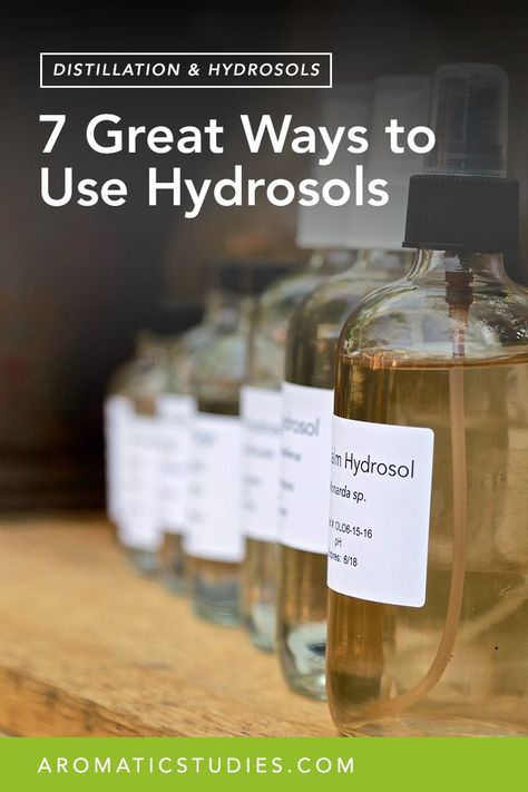 Hydrosols are the aromatic waters produced via distillation. Suzanne Catty popularized hydrosols years ago with her book “Hydrosols: The Next Aromatherapy” and for years hydrosols were quite abundant in the market. Then there seemed to be a little bit of a quiet time for hydrosols until now when they are experiencing a kind of renaissance. READ MORE Distilling Herbs, Hydrosol Distillation, Essential Oil Spray Recipes, Flower Recipes, Rosemary Plant, Medicinal Herb, Herbal Apothecary, Aromatic Plant, Herbal Healing