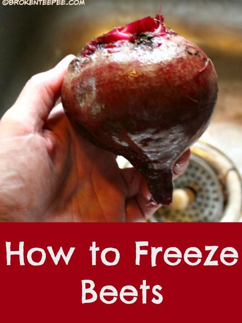 How to Freeze Beets  After the beets are harvested what do you do with them? You can only pickle so many. Instead of canning them you can freeze them! It takes less time and the end result is tastier. #beets #puttingfoodby via @BooksCooksLooks Preserve Beets, How To Freeze Beets, Freezing Beets, Preserve Fruit, Canning Beets, Healthiest Vegetables, Apple Cookies Recipes, Lettuce Salads, Veggie Options