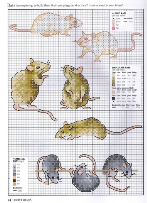 Raties Skins Minecraft, Mini Cross Stitch, Pixel Pattern, Pet Rats, Cross Stitch Animals, Stitching Art, Stitch Embroidery, Embroidery Inspiration, Cross Stitch Chart