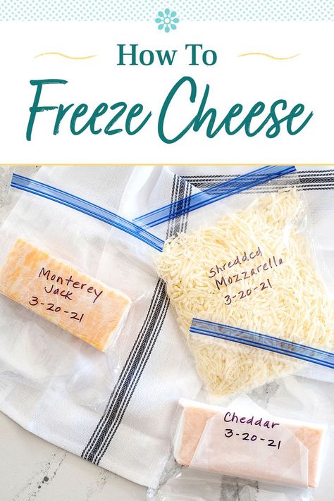 How To Freeze Cheese, Can You Freeze Cheese, Freezing Cream Cheese, Food Saver Hacks, Food Freezing, Freezing Cheese, Freeze Cheese, Freezing Food Guide, Freezing Recipes