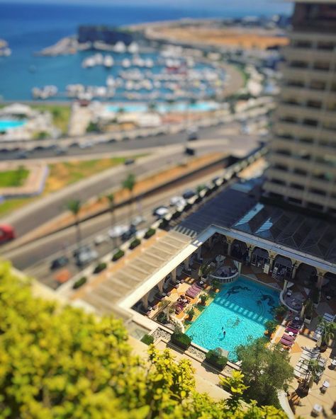 Phoenicia Hotel on Instagram: “When Monday feels like Sunday 🌞🌴🌊 #phoeniciahotel #mondaymotivation #happymonday #amethystelounge #beirut #lebanon #hotellife…” Monday Feels, Beirut Lebanon, Beirut, Lebanon, Happy Monday, Monday Motivation, Feel Like, Hotel, Feelings