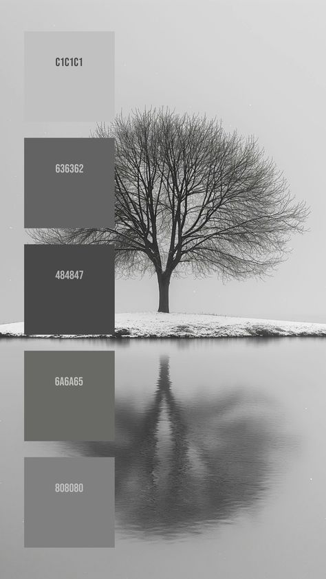 Colors:
C1C1C1
636362
484847
6A6A65
808080 Grey Color Pallets, Gray Pallet, Minimalist Backdrop, Leafless Tree, Colorful Walls, Monochromatic Color Palette, Web Colors, Color Schemes Colour Palettes, Grey Color Palette