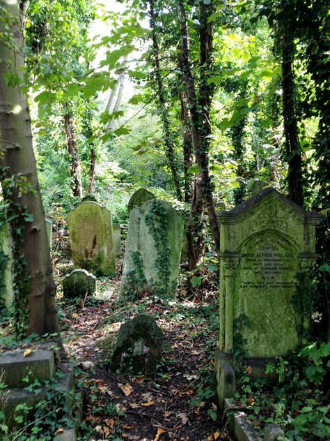 Overgrown Cemetery Aesthetic, Old Cemetery Aesthetic, Pretty Cemetery, Overgrown Graveyard, Overgrown Cemetery, Drawtober 2023, Overgrown Aesthetic, Nunhead Cemetery, Spooky Cemetery