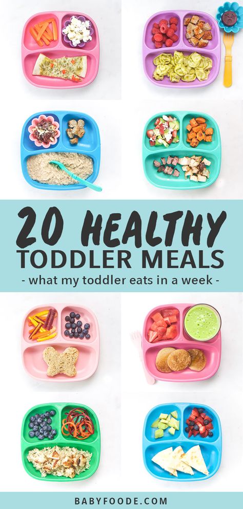 Family Meals Kids, Family Meals Kid Friendly, Fun Meals, Toddler Picky Eater, Easy Toddler Meals, Toddler Dinner, Picky Toddler, Losing Your Mind, Toddler Lunches