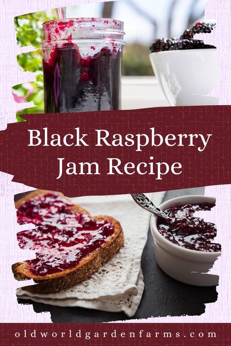 A collage with two photos of black raspberry jam in a jar, accompanied by a bowl of black raspberries (top), and a photo of black raspberry jam, spread onto toast from a bowl (bottom). (From Canva) Black Raspberry Jelly Recipe, Black Raspberry Jam Recipe, Raspberry Jelly Recipe, Black Raspberry Recipes, Black Raspberry Jam, Raspberry Freezer Jam, Making Jam, Raspberry Jam Recipe, Black Raspberries