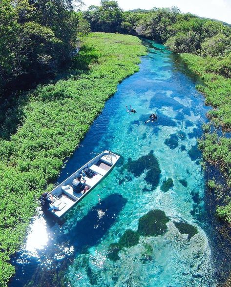 It feels like to dive right in that #crystalclear river to explore its fascinating marine life, doesn't it?  The town of Bonito has so much to offer being a ecotourism hub in the southern #Brazil. ⁠ ⁠ 📷 : @fernandoperesphotos⁠ .⁠ .⁠ .⁠ #Mihuru #Freedomtotravel #traveltheworld🌍 #travelcommunity #travelphotography #planetdiscovery  #natureadventure #natureexplorer #explore #ig_travels #wanderlustique #travelbloggerers #earth_shots #travelbloggerscommunity #travelbloggeraroundtheworld #travel #wa Iguazu Falls, Brazil Travel, Foto Pose, Pretty Places, Luxury Travel, Travel Dreams, Salvador, Wonders Of The World, South America