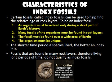 Law Of Superposition, Rock Layers, Scientists, The Rock, Fossil, The One, Reading