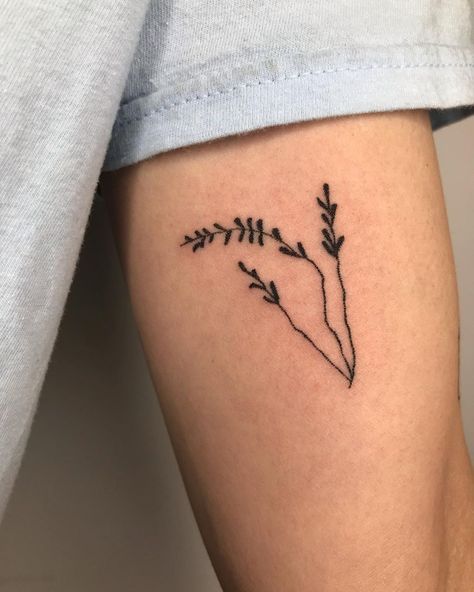 Leaf Stick And Poke, Nyc Tattoo, Hand Poked Tattoo, Hand Poke, Stick And Poke, Line Tattoos, Maple Leaf Tattoo, Tattoos And Piercings, I Tattoo