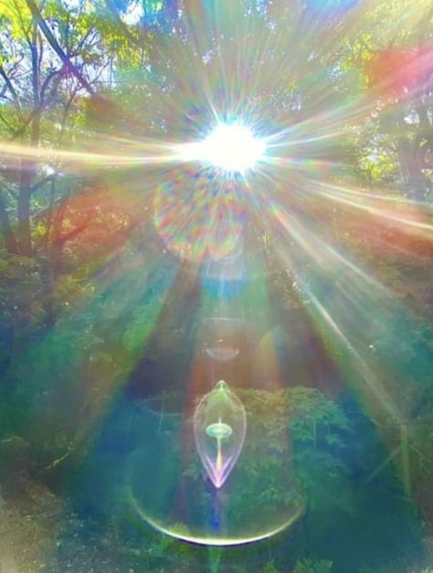 Enlightenment Aesthetic, New Age Aesthetic, Spiritual Summer, Cassandra Calin, Being Of Light, Spiritual Photos, Source Energy, Foto Top, Divine Nature