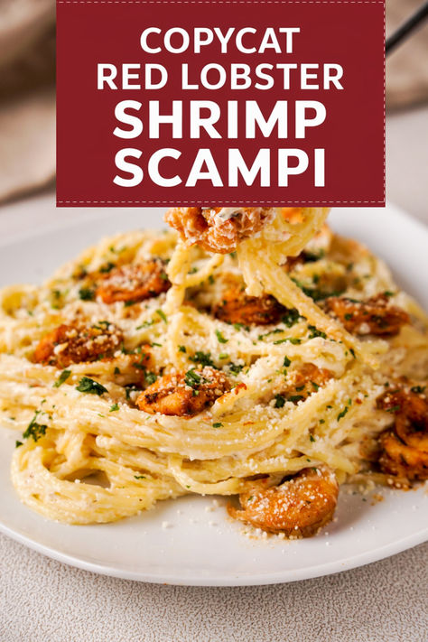 Create a delicious seafood feast with our Famous Red Lobster Shrimp Scampi recipe, featuring succulent raw peeled shrimp, rich butter, white cooking wine, fragrant minced garlic, zesty lemon juice, and savory Italian seasoning, all finished with a sprinkle of grated Parmesan cheese for the perfect touch of elegance. Classic Red Lobster Shrimp Scampi, Red Lobster Shrimp Scampi Recipe, Red Lobster Shrimp Scampi, White Cooking Wine, Copycat Red Lobster, Red Lobster Shrimp, Seafood Feast, Lobster Dishes, Fall Meals