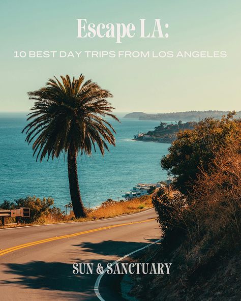 Make the most of your trip to Los Angeles with our travel guide on the best day trips from Los Angeles. Whether you love visiting beaches, shopping the best fashion, or taking in local culture, we've got you covered. Written by a local.   #localtravelguide #california #losangeles #la #vacationguide #usadestinations #bestbeaches #palmtrees #pchhighway Day Trips From Los Angeles, Trip To Los Angeles, Santa Barbara Mission, California Travel Guide, San Juan Capistrano, Catalina Island, Balboa Park, Local Travel, The Best Day