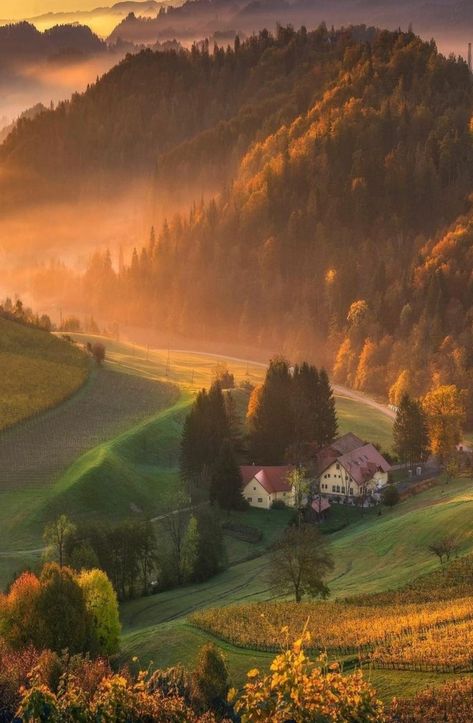 Charming Cottages Picturesque Stile Villages Romantic Garden | Lovely Nature in Slovenia 🦋🍂🍂 Landscaping Images, Lifestyle Aesthetic, Autumn Morning, Country Side, Romantic Garden, Fall Pictures, Autumn Cozy, Autumn Aesthetic, Slovenia