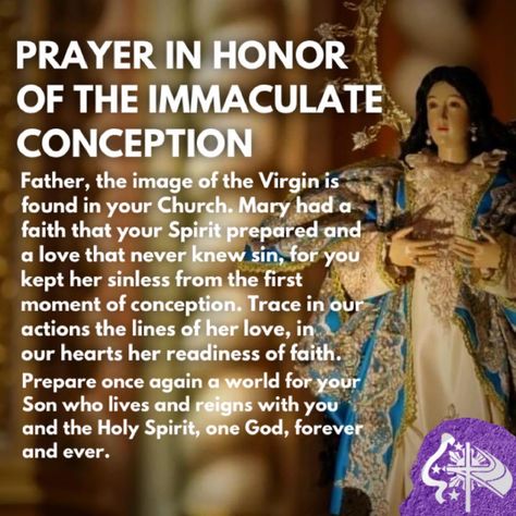 December 8 Immaculate Conception, Feast Of Immaculate Conception, The Immaculate Conception, The Blessed Virgin Mary, Angel Prayers, Mama Mary, Holy Rosary, Immaculate Conception, True Meaning Of Christmas