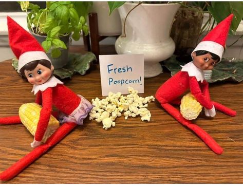 Elf On The Shelf Doing Bad Things, Elf On Shelf Arrival Ideas First Time, Elf On The Shelf Pet Ideas, Elf On Shelf Funny, Elf Memes, Elf 2024, Elf Shenanigans, Kindness Elves, Elf Ideas Easy