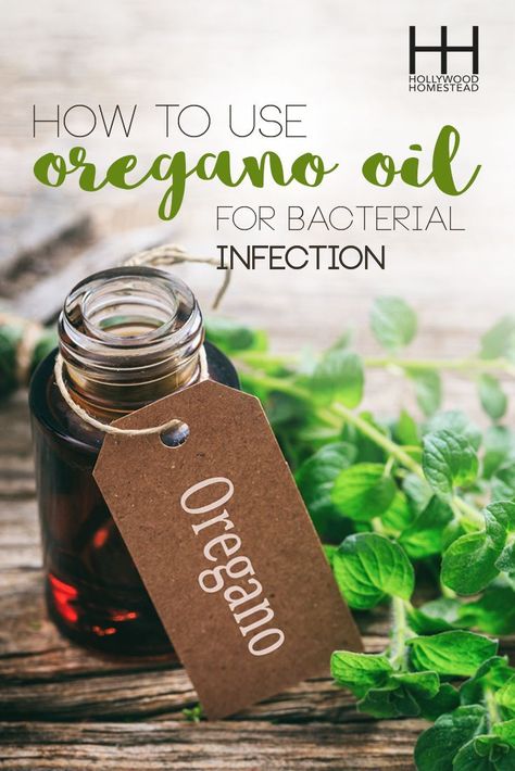 Oil Of Oregano, Oregano Oil Benefits, Oregano Essential Oil, Oregano Oil, Natural Antibiotics, Bacterial Infection, Oil Benefits, Essential Oil Uses, Healing Herbs