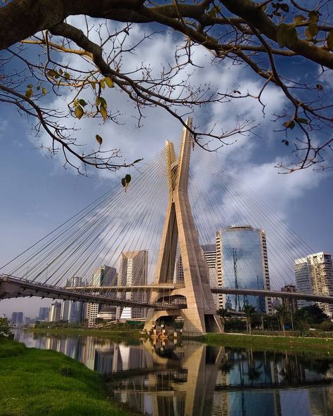 30 fotos de São Paulo que vão te deixar com muita vontade de viajar - Viajali São Paulo Wallpaper, São Paulo Aesthetic, Brazil Wallpaper, Water Under The Bridge, Brazil Travel, Sao Paulo Brazil, City Aesthetic, Travel Inspo, Travel Aesthetic