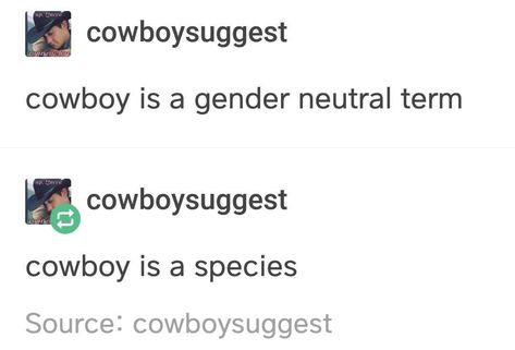 Cowboy Tumblr, Gay Cowboy Aesthetic, Cowboys Memes, Gay Cowboy, Brokeback Mountain, Cowboy Aesthetic, Baby Cowboy, Funny Tumblr Posts, On The Road Again