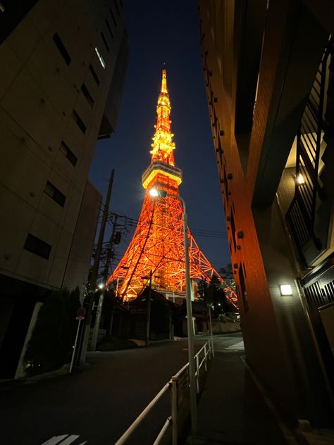 you have to see the tokyo tower at night! it lights up and is absolutely beautiful 🗾💙 #tokyo #tourism #travel #lights #sightseeing Tokyo Tourism, Pro Photography, Give Me Butterflies, Tokyo Tower, Street Photo, City Aesthetic, City Streets, Late Night, At Night