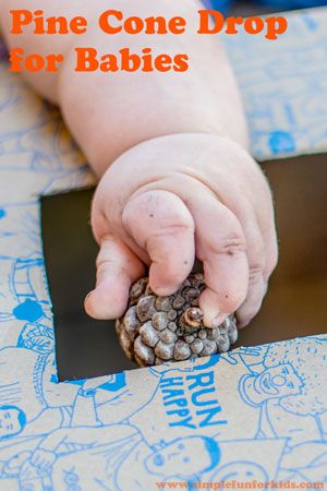 Baby Activities: Fun with a simple homemade pine cone drop activity! Nature Activities For Infants, Nature Crafts For Infants, Infant Nature Activities, Nature Activities For Babies, Camping Activities For Infants, Reggio Projects, Nature Based Preschool, Ladybug Room, Infant Sensory