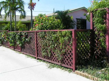 If using plain, inexpensive lattice, paint for instant interest Lattice Privacy Fence, Projector Screen Diy, Courtyard Entrance, Old Window Screens, Fly Screen Doors, Screen Door Hardware, Screened Porch Decorating, Old Screen Doors, Diy Screen Door