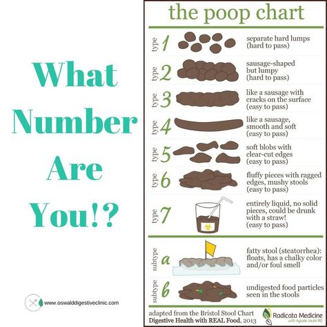 𝙒𝙝𝙖𝙩 𝙣𝙪𝙢𝙗𝙚𝙧 𝙞𝙨 𝙮𝙤𝙪𝙧 𝙥𝙤𝙤? 𝘿𝙤 𝙮𝙤𝙪 𝙠𝙣𝙤𝙬!?⁠ ⁠ Read the chart, and comment your number below (Don’t be shy)⁠ ⁠ As many of you know, I’ve spent a good amount of time working at Regions Hospital ⁠ ⁠ This one month, in the nursing restroom, there was a picture of the Bristol Stool Chart with a tally to the side and pen for people to mark down their stool type HAHA⁠ ⁠ So fun to see this getting normalized because seriously, we all have bowel movements (as much as I sometimes t Bowel Movement Chart, Bristol Stool, Stool Chart, Bristol Stool Chart, Stool Sample, Electron Transport Chain, Gut Healing Recipes, Bowel Movement, Healing Recipes