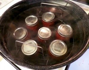 Raspberry Rhubarb Jam Recipe | Food Storage Series Canning Spaghetti Sauce, Canning 101, Canning Fruit, Canned Foods, Canning Food Preservation, Canned Food Storage, Canning Tips, Easy Salsa, Honest Truth