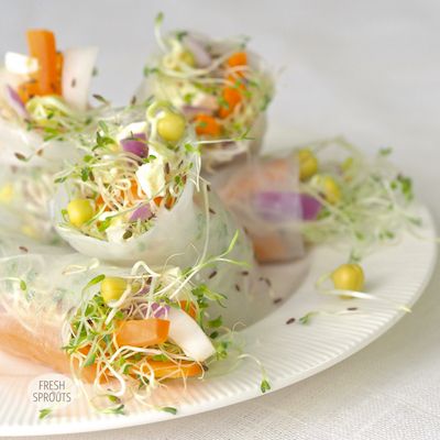 Rice rolls with sprouts of radish and clover grown in your kitchen spouter. A delicious vegan recipe with your homegrown sprouts. Recipes With Sprouts, Spring Roll Recipes, Fasting Meals, Pea Sprouts, Microgreens Recipe, Radish Sprouts, Green Juice Smoothie, Sprouts Recipes, Rice Rolls