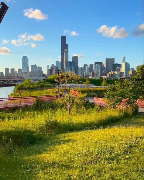 #Chicago🇺🇸 6 Parks You Must Visit 📌SAVE this for your next trip to Chicago Millennium Park 📍 Address: 201 E Randolph St, Chicago, IL 60602 Maggie Daley Park 📍 Address: 337 E Randolph St, Chicago, IL 60601 Grant Park 📍 Address: 337 E Randolph St, Chicago, IL 60601 (Grant Park and Maggie Daley Park are adjacent to each other) Lincoln Park 📍 Address: 2045 N Lincoln Park W, Chicago, IL 60614 Navy Pier 📍 Address: 600 E Grand Ave, Chicago, IL 60611 (While Navy Pier isn’t a traditional park, ... Trip To Chicago, Millennium Park, Grant Park, Navy Pier, Lincoln Park, Chicago Il, Lincoln, You Must, Chicago