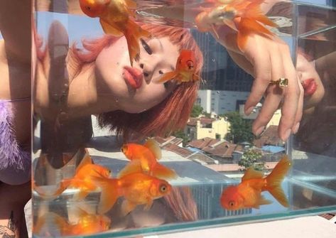 Aquarium Art Reference, Aestethic 90s, Pose Reference Photo, Photography Inspo, Art Reference Photos, Goldfish, Aesthetic Photo, Aesthetic Photography, 그림 그리기